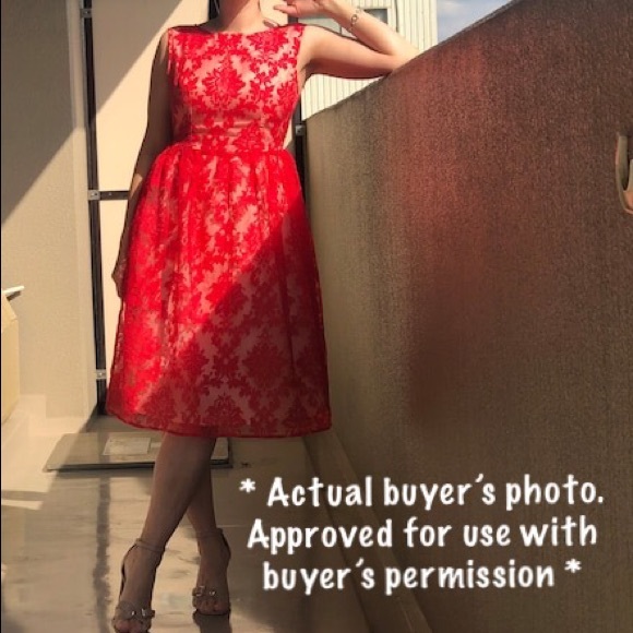 Red Mesh Floral Damask Fit & Flare Dress - Picture 8 of 8